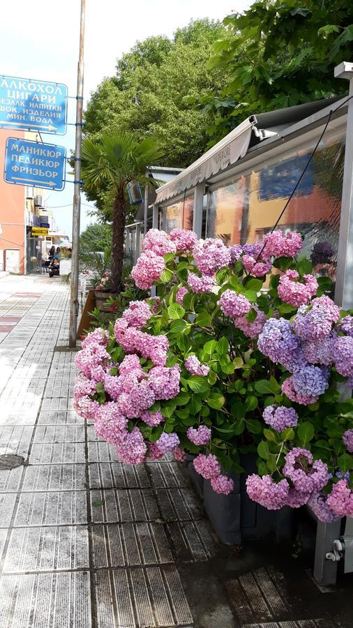 Fresh Kiten Kiten  Ngoại thất bức ảnh